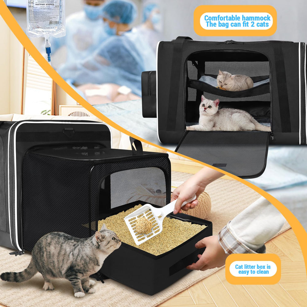 Petskd folding cat carrier designed for compact travel storage