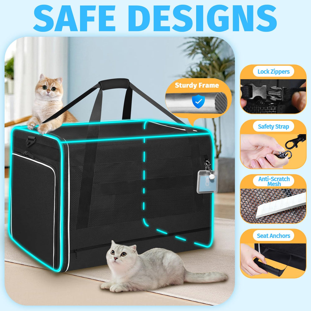 Petskd cat carrier featuring waterproof liner for easy cleanup