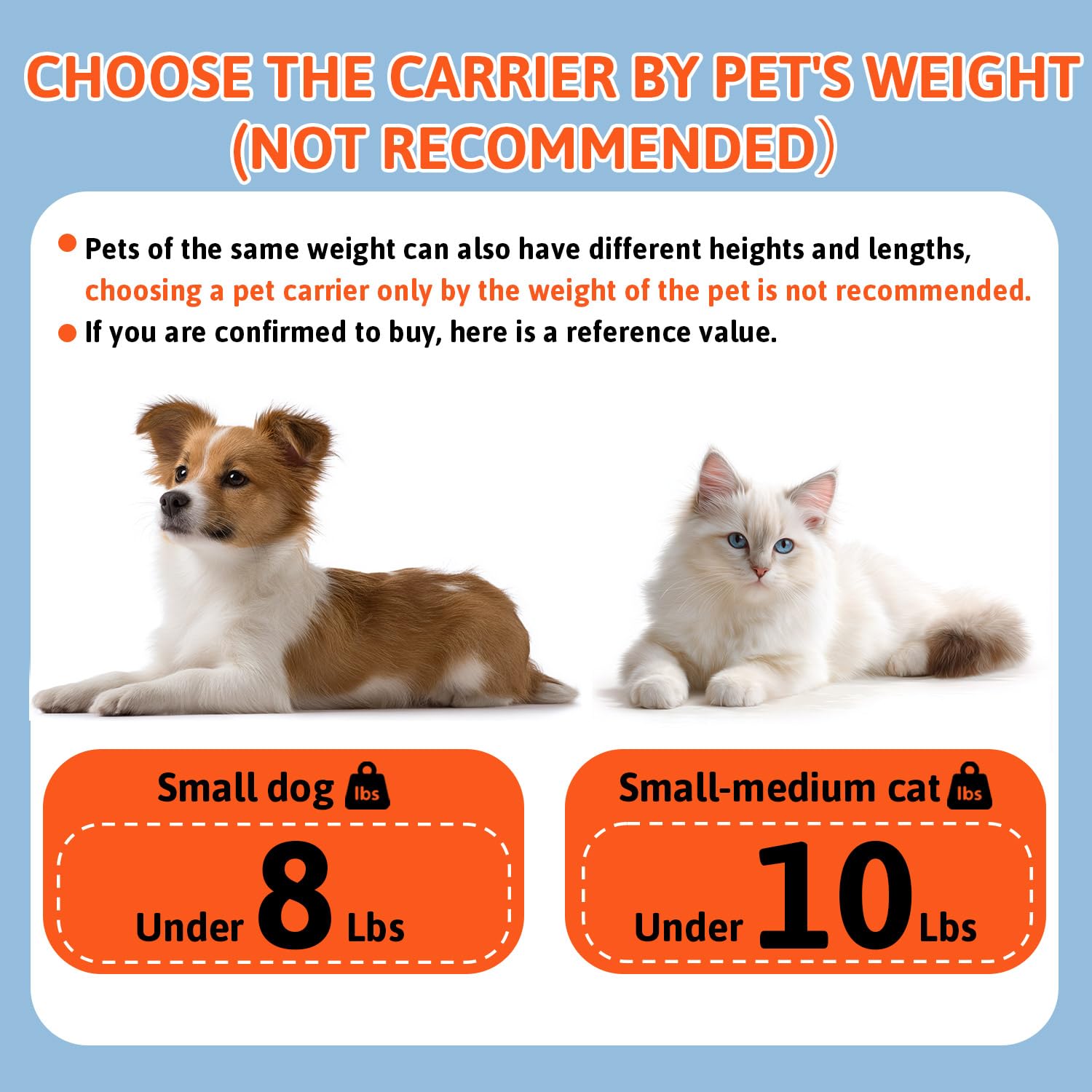Petskd locking zipper helps keep pets secure during travel