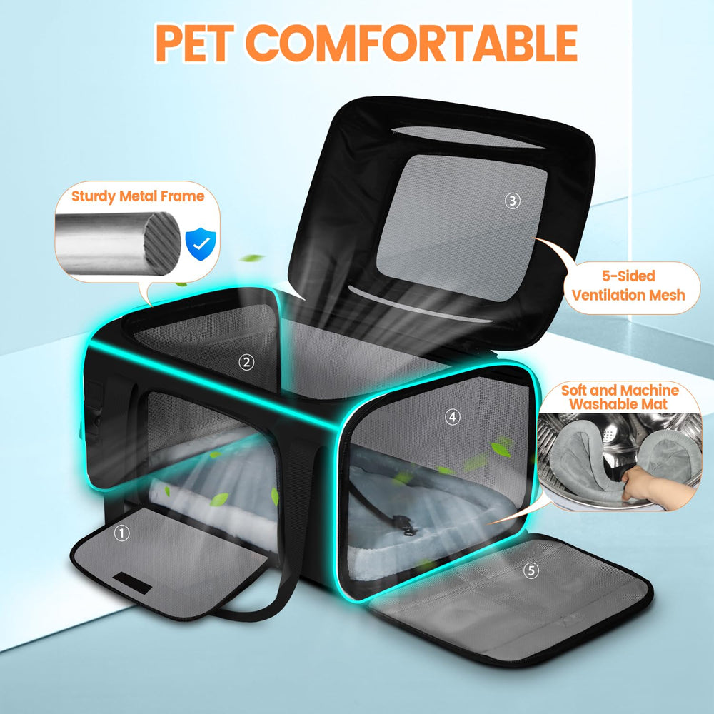 Petskd size guide ensures under-seat fit for small pets
