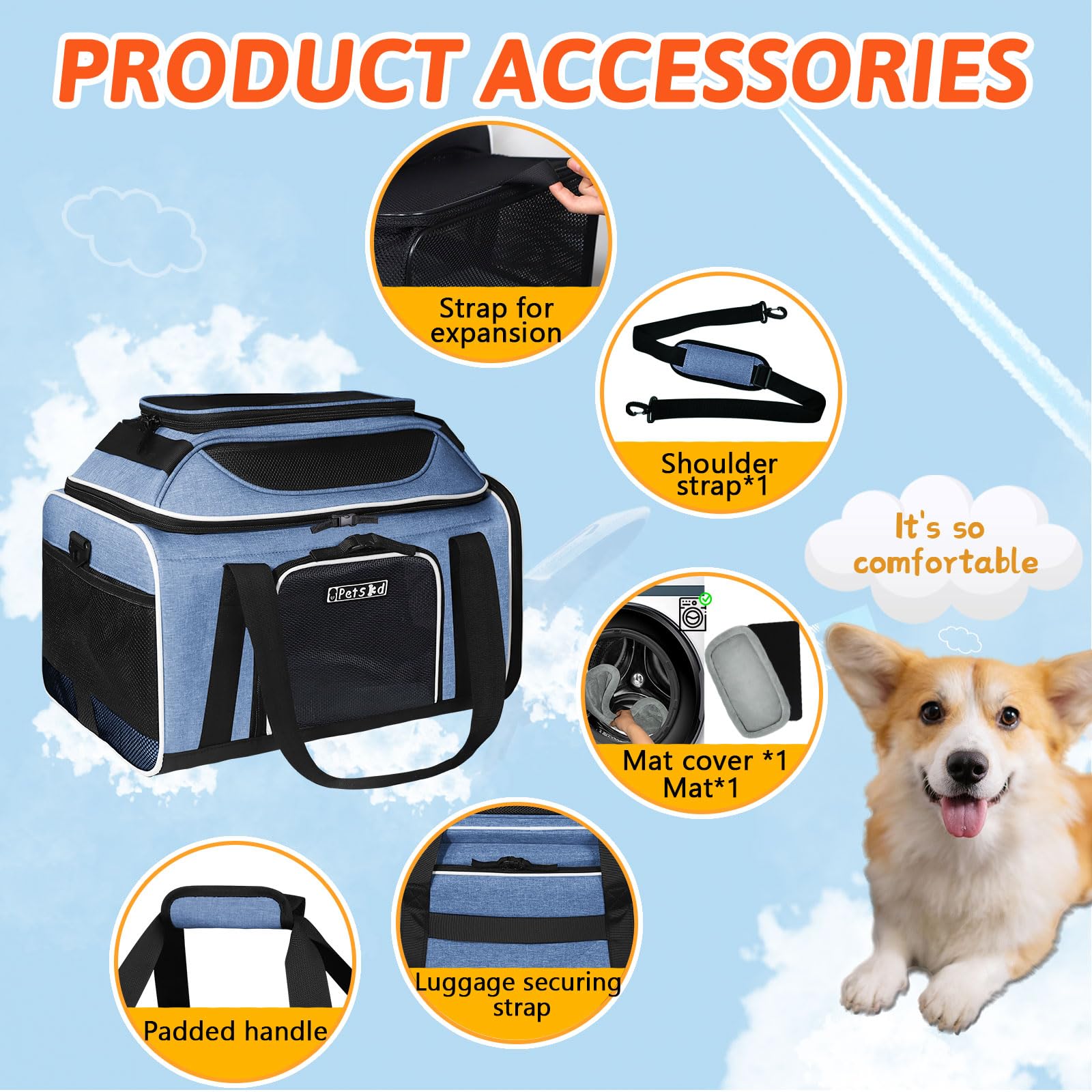 Petskd five-sided mesh ventilation for visibility and airflow