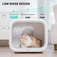 PETKIT AIRSALON MAX pet inside during drying session.