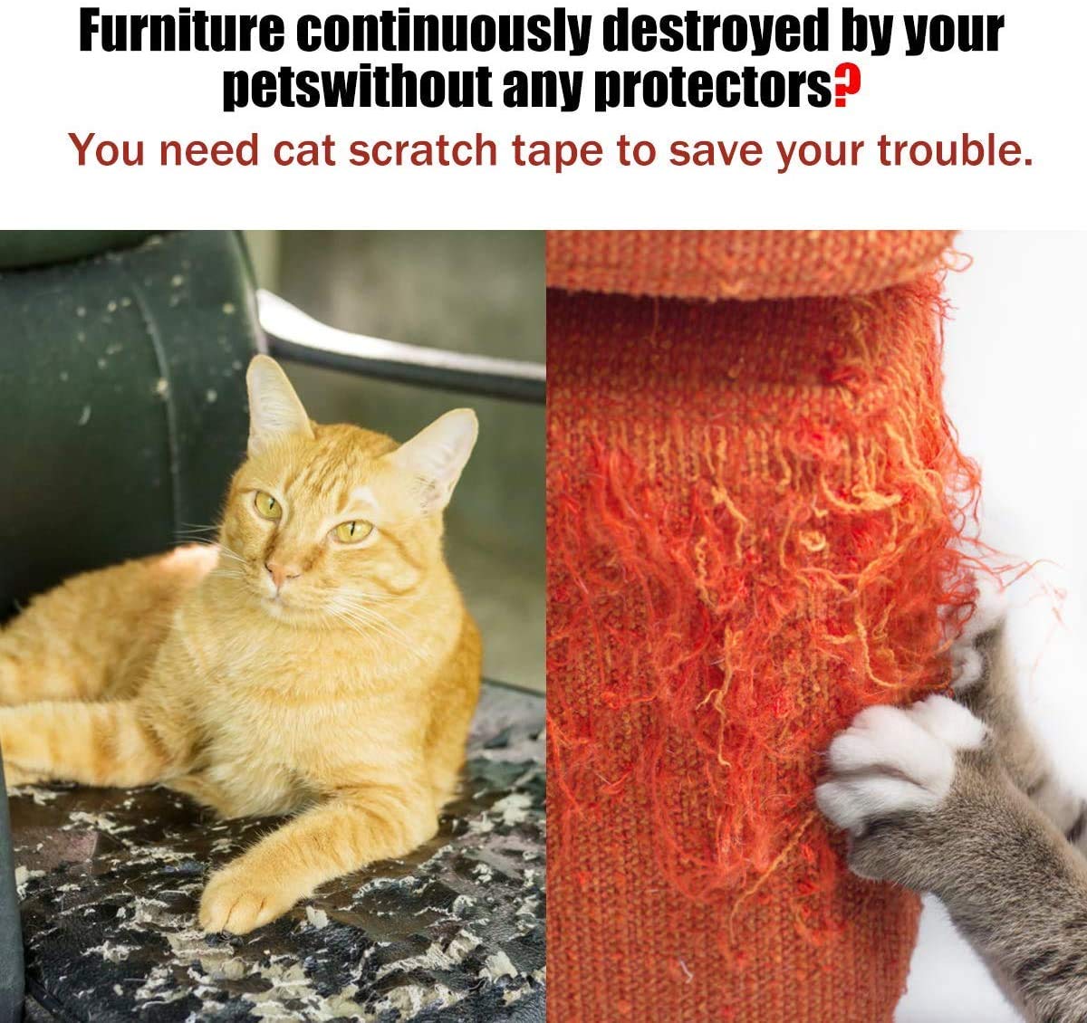 Petslucent green tape adhesive close-up emphasizes strong hold and easy removal.