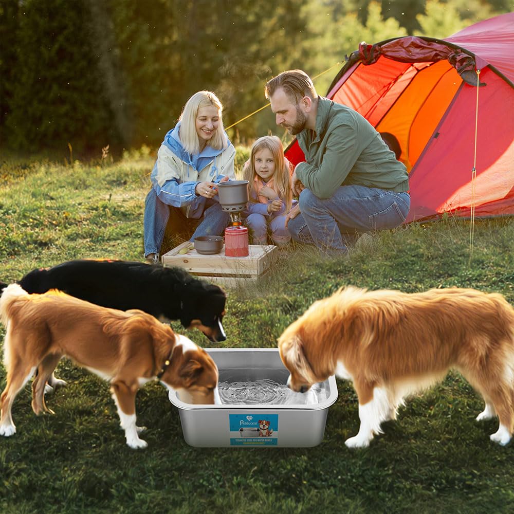 Petslucent stainless steel is dishwasher-safe for quick, hygienic cleanup.