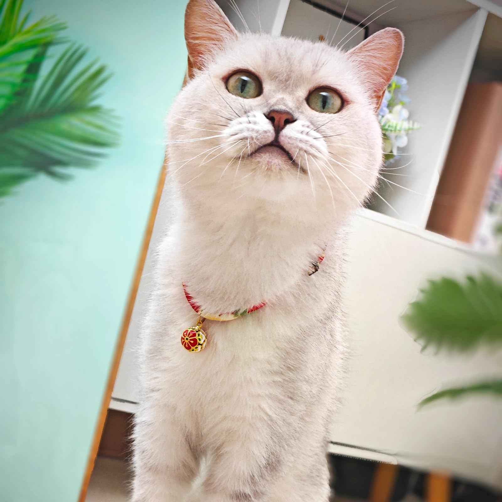 PetsMeow adjustable cat collar neck feature to fit growing cats.