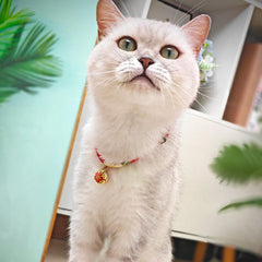PetsMeow adjustable cat collar neck feature to fit growing cats.