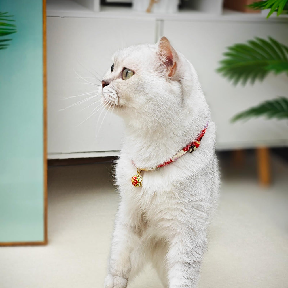 PetsMeow soft Japanese crepe fabric collar for gentle fur comfort.
