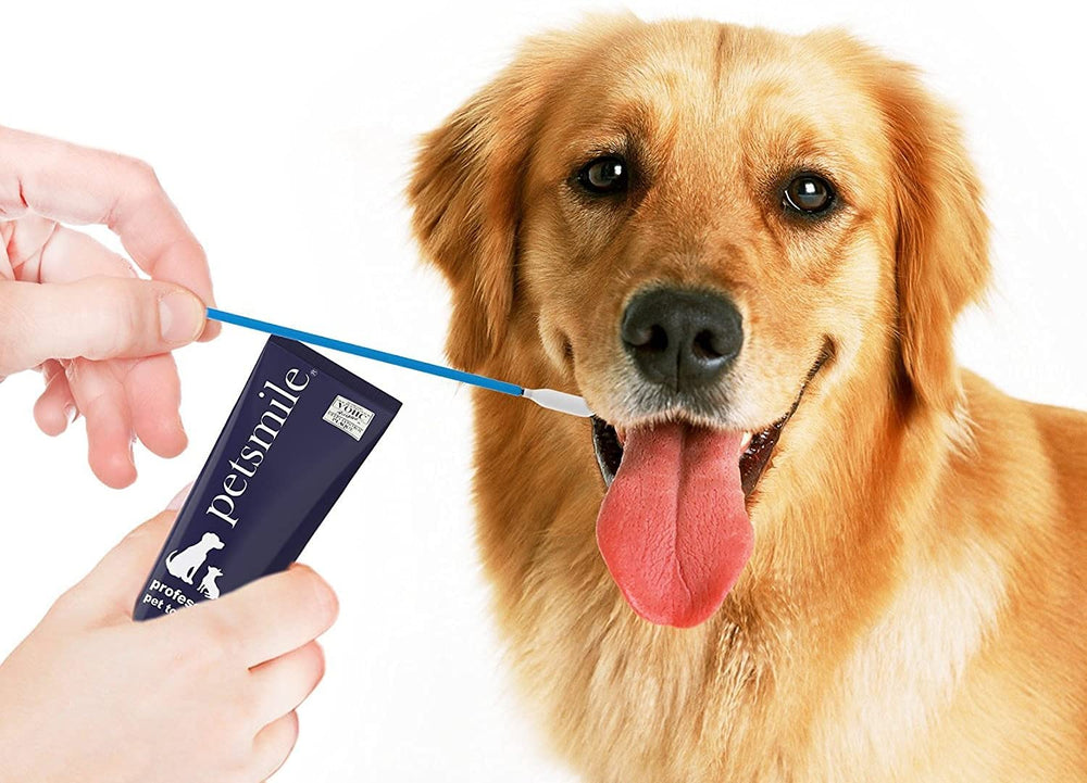 Petsmile 50-count packaging supports ongoing cat and dog dental care routines.