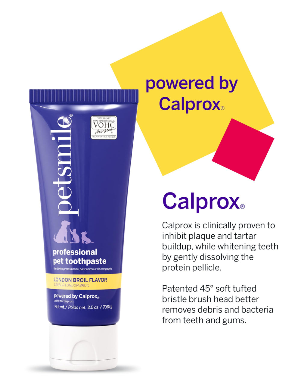 Petsmile toothpaste on cat teeth offering stress-free dental care.
