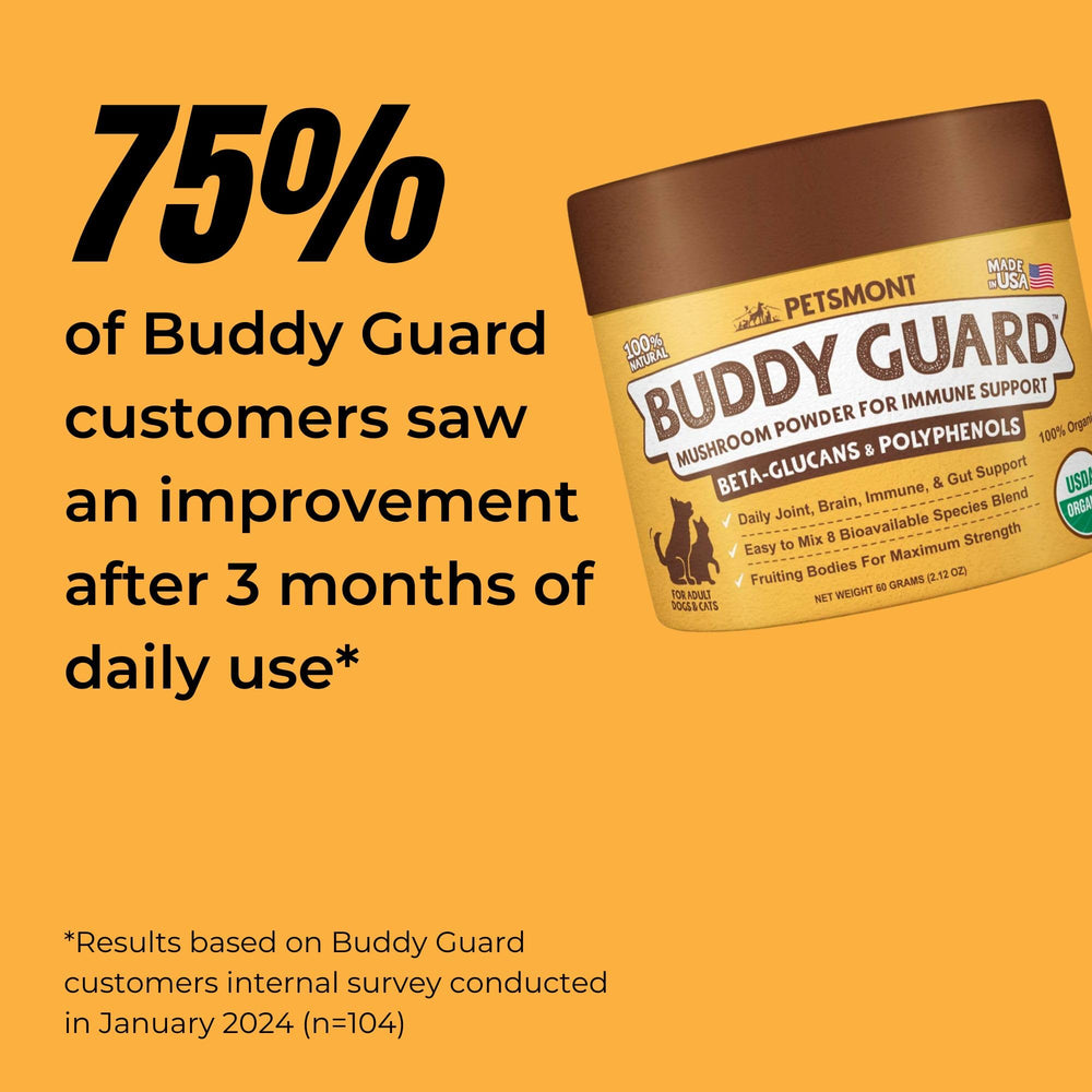 Petsmont Buddy Guard packaging on counter showing organic mushroom blend