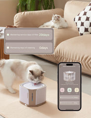 PetSnowy cat water fountain filter in use demonstrates simple maintenance