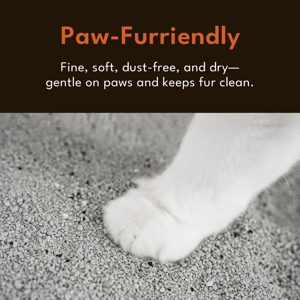 PetSnowy litter-saving-usage showcases efficient clumping and reduced waste.