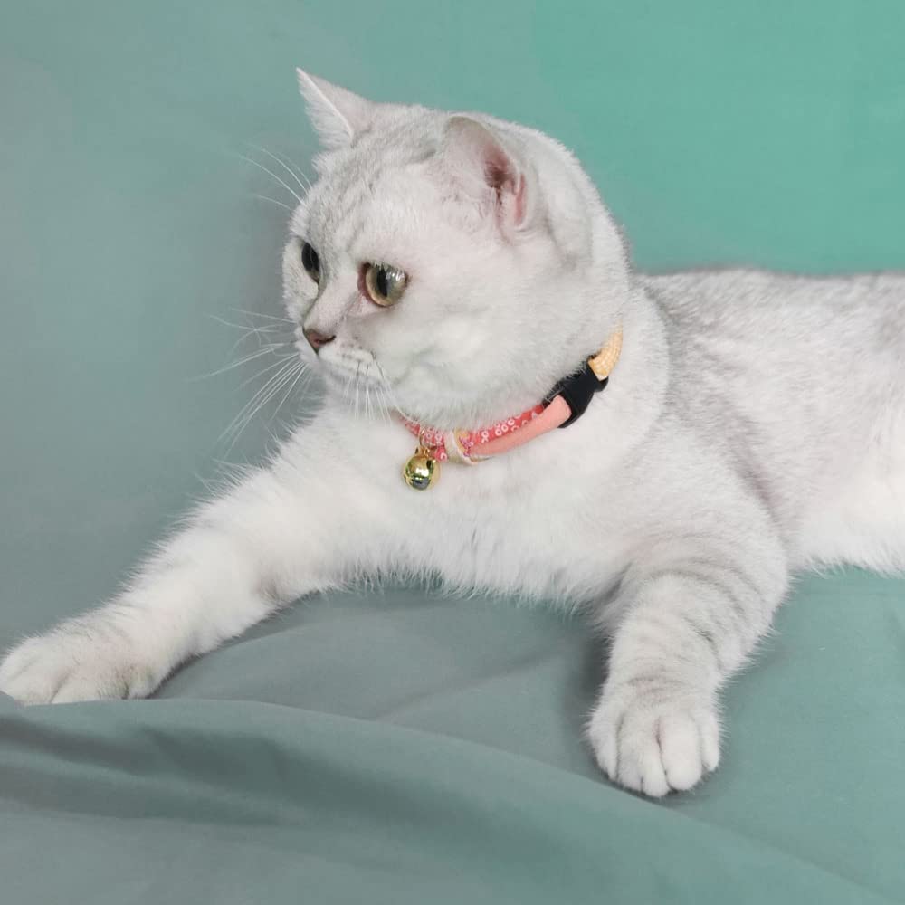 PetSoKoo adjustable collar fits most kittens and adult cats.