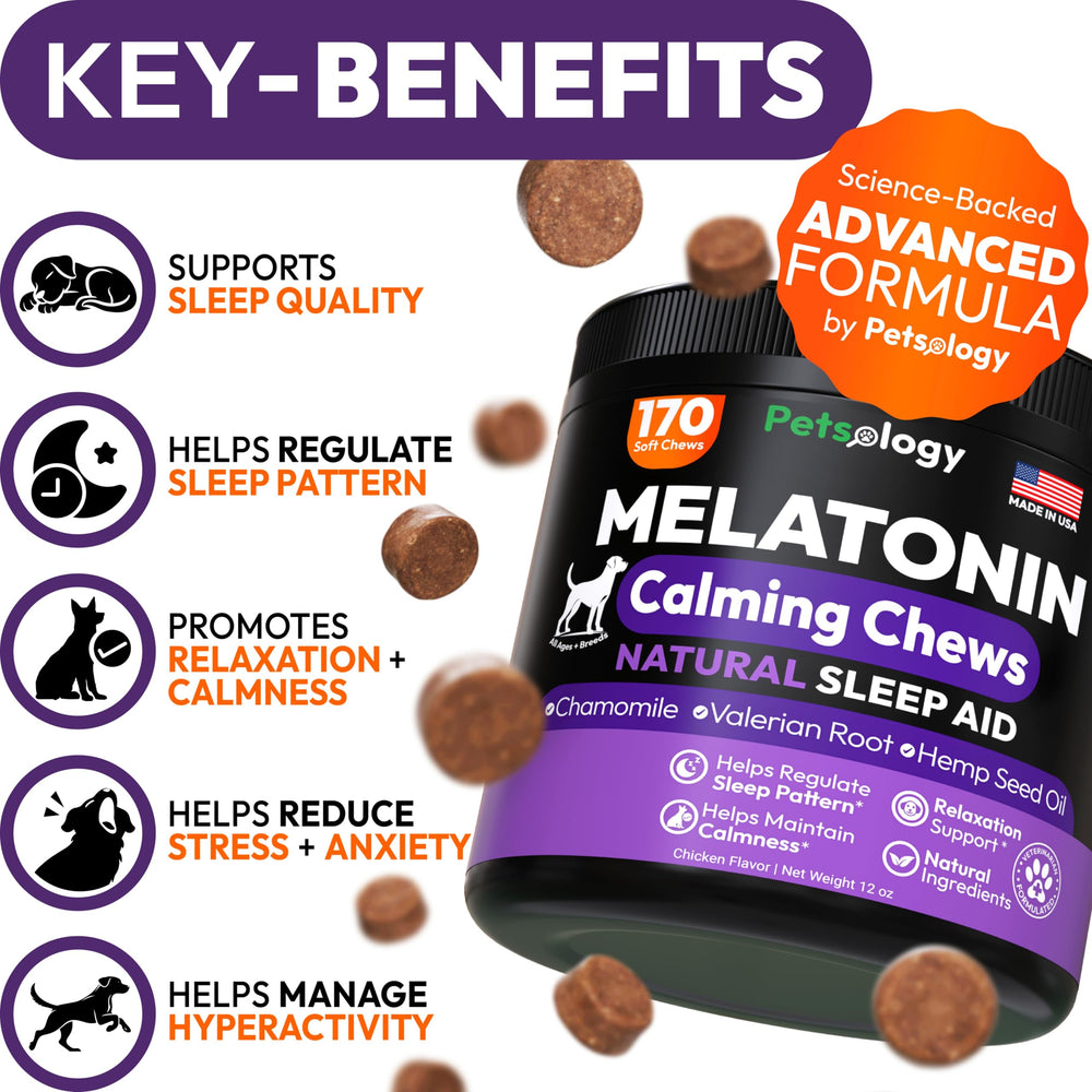 Petsology Advanced Melatonin dog chews closeup — tasty chews for night-time calm