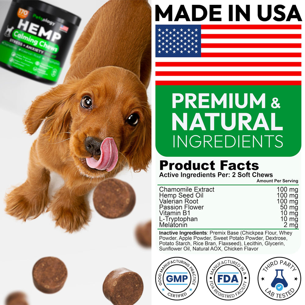 Petsology calming chews promoting restful sleep after a long day.