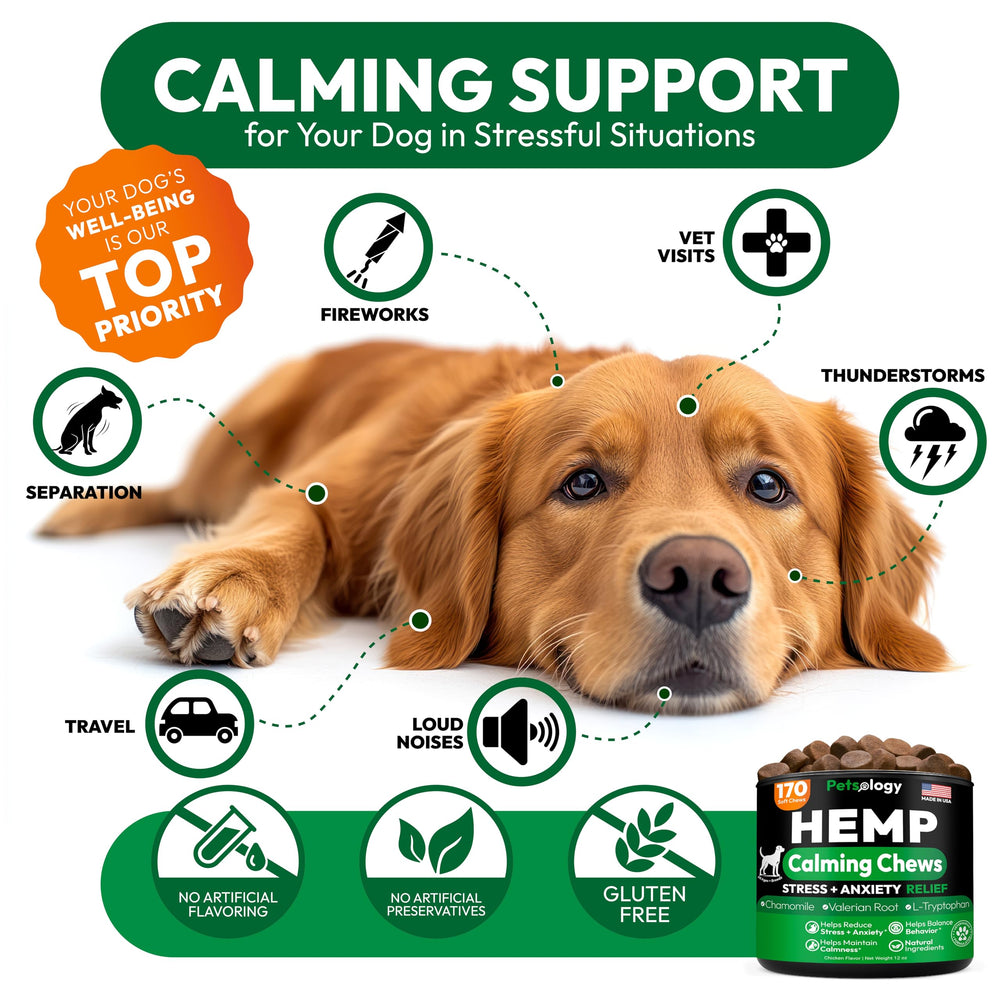 Petsology calming chews pictured during vet visit for less stress.