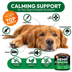 Petsology calming chews pictured during vet visit for less stress.