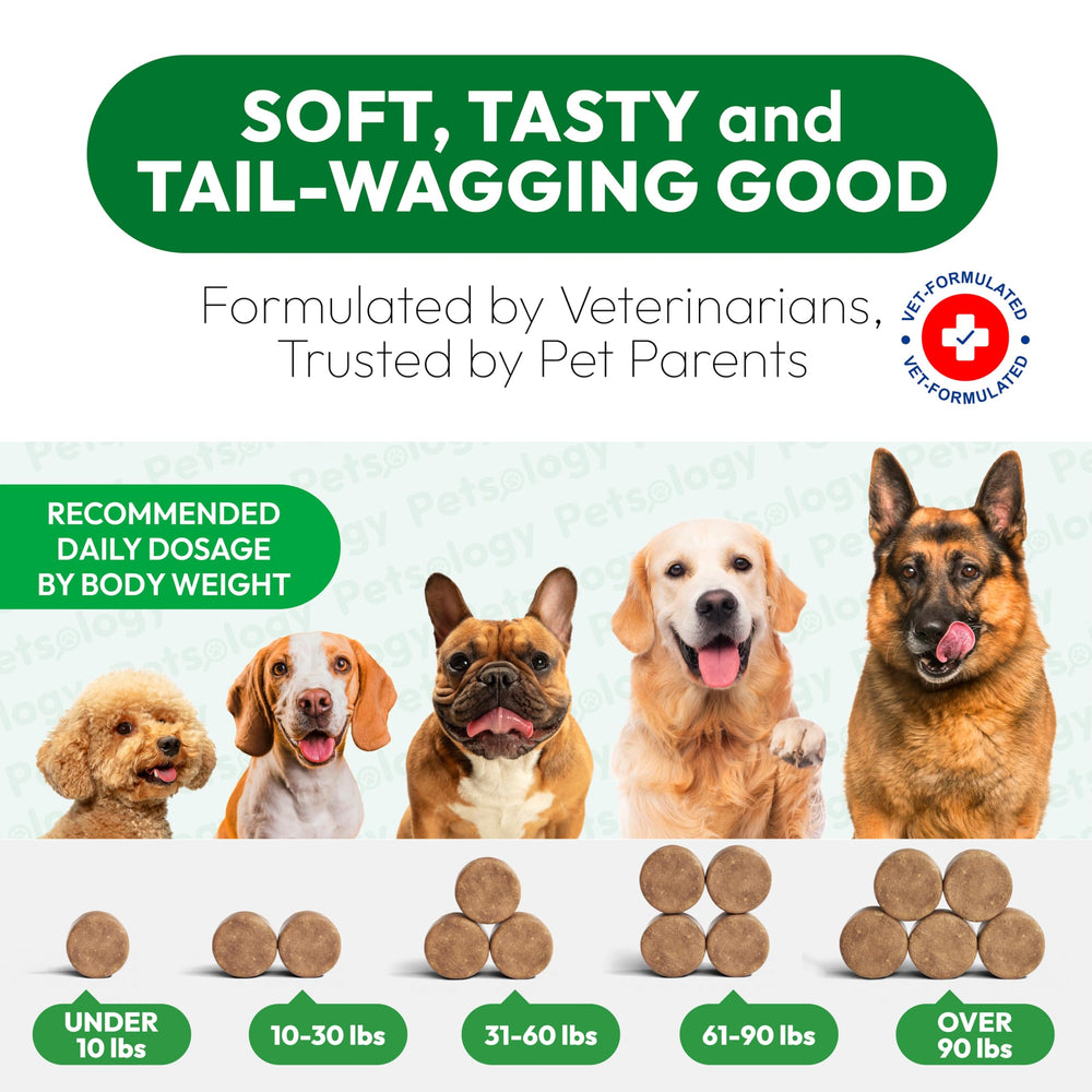 Petsology premium dog health chews for digestive and urinary support.