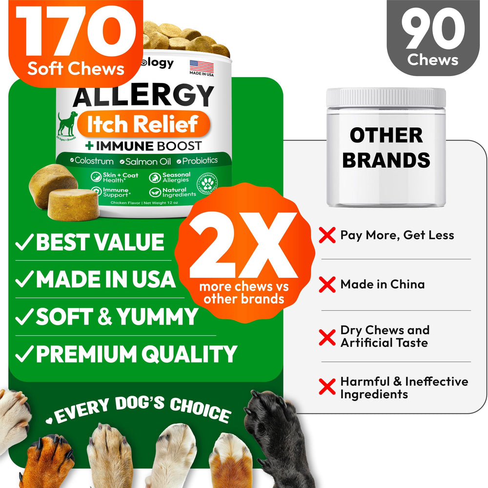 Petsology Dog Allergy Relief Chews bowl scene suggests tasty coat and skin support