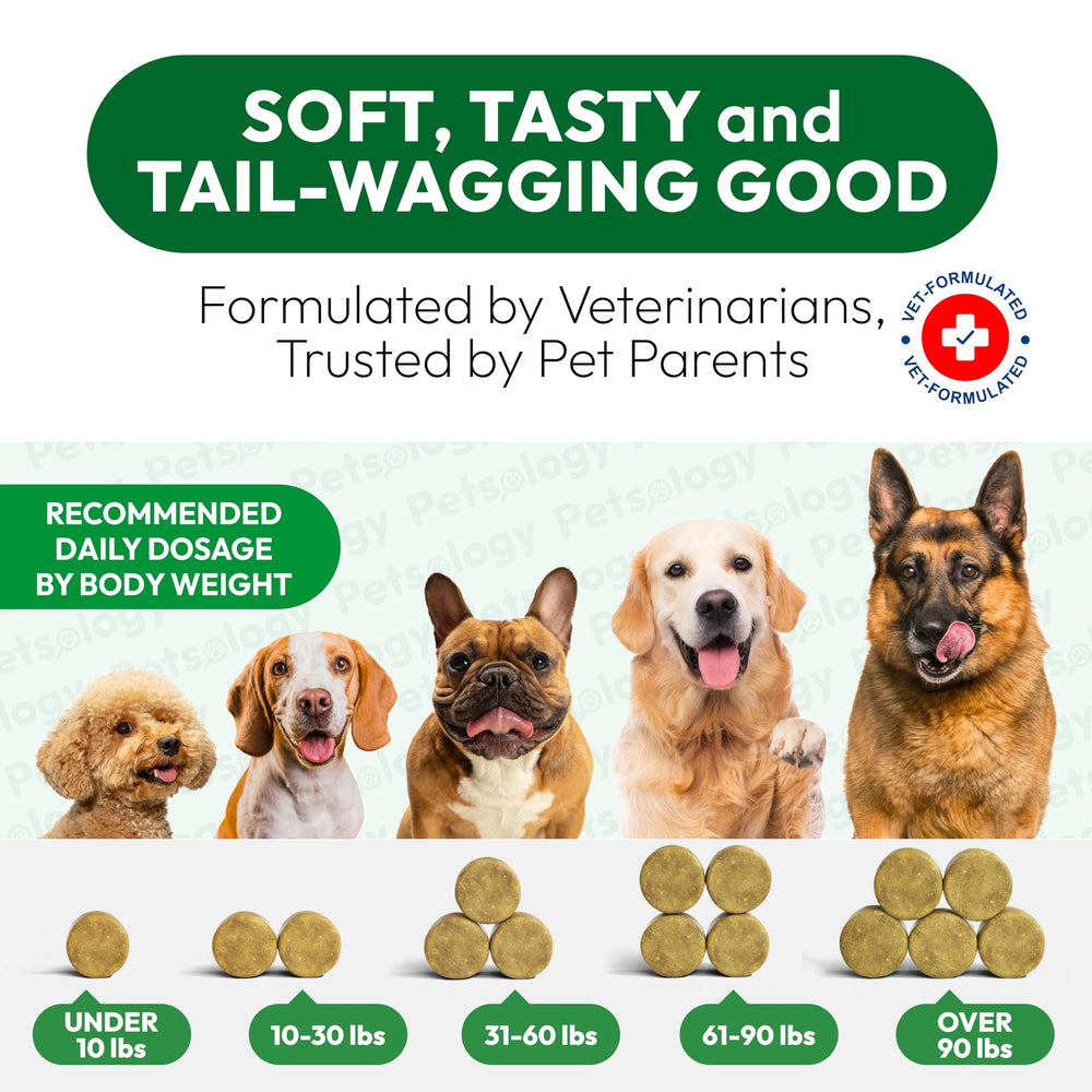 Petsology Dog Allergy Relief Chews shelf display signals trusted dog itch relief option