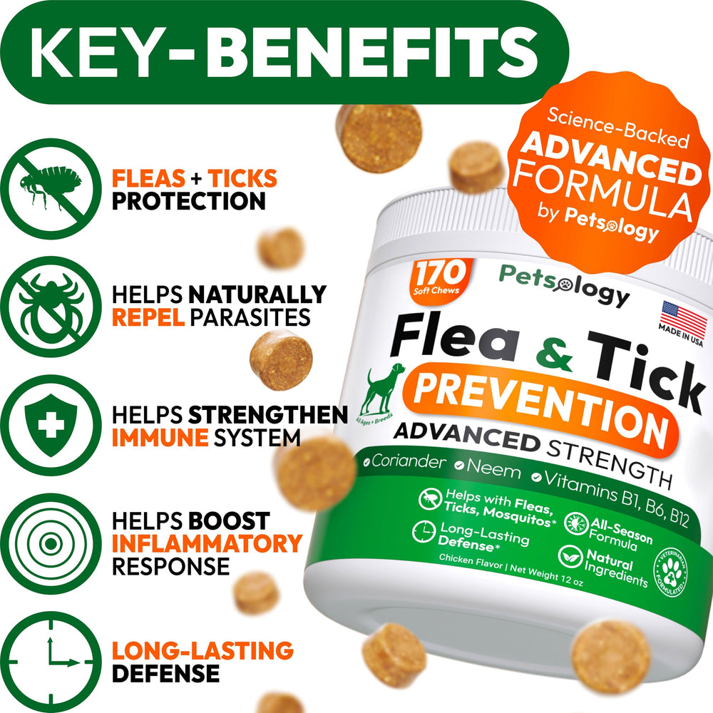 Petsology dog chews texture close up highlights tasty dog friendly protection