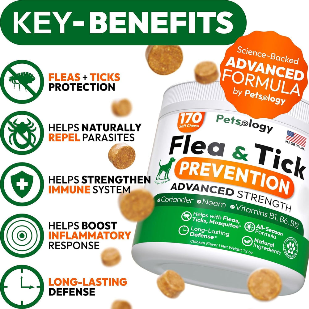 Petsology dog flea tick chews in hand — convenient, tasty supplement for on-the-go protection.