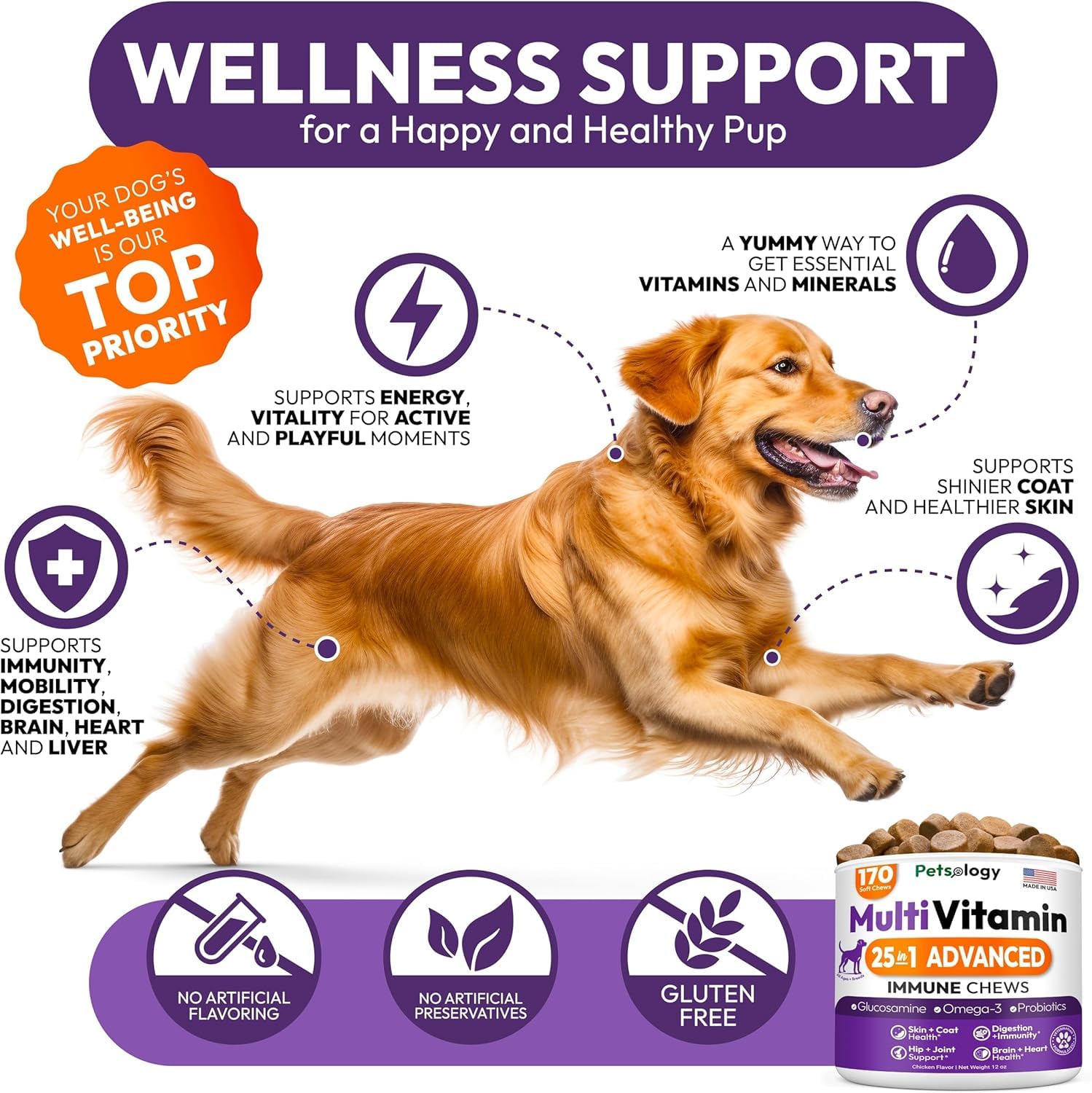 Petsology glucosamine joint support chew image signaling improved mobility and flexibility.
