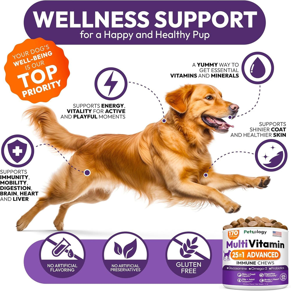 Petsology glucosamine joint support chew image signaling improved mobility and flexibility.