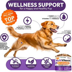 Petsology glucosamine joint support chew image signaling improved mobility and flexibility.