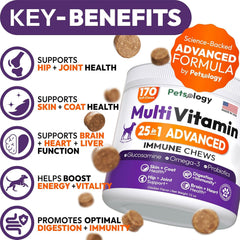 Petsology dog multivitamin chews closeup highlighting texture and palatability for easy administration.