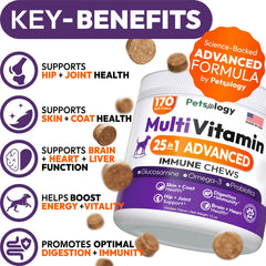 Petsology Dog Multivitamin Chews close-up highlights palatable texture for everyday use.