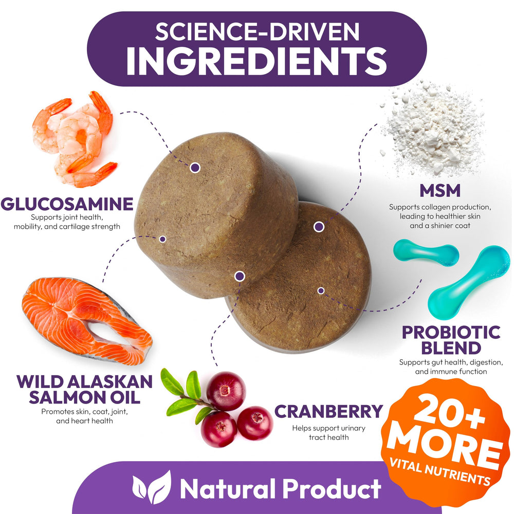 Petsology Dog Multivitamin Ingredients image emphasizes probiotics and antioxidants for gut health.