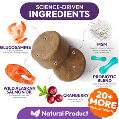 Petsology Dog Multivitamin Ingredients image emphasizes probiotics and antioxidants for gut health.