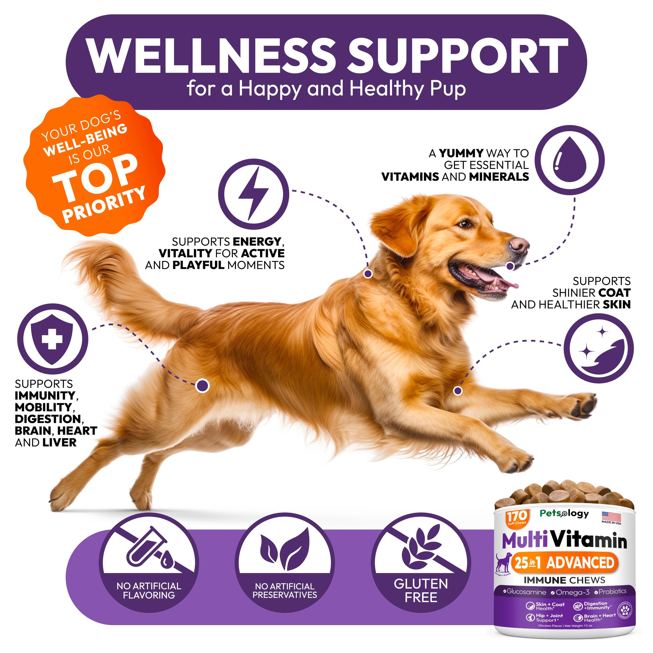 Petsology Dog Multivitamin Made-in-USA Facility image shows safe, quality production.
