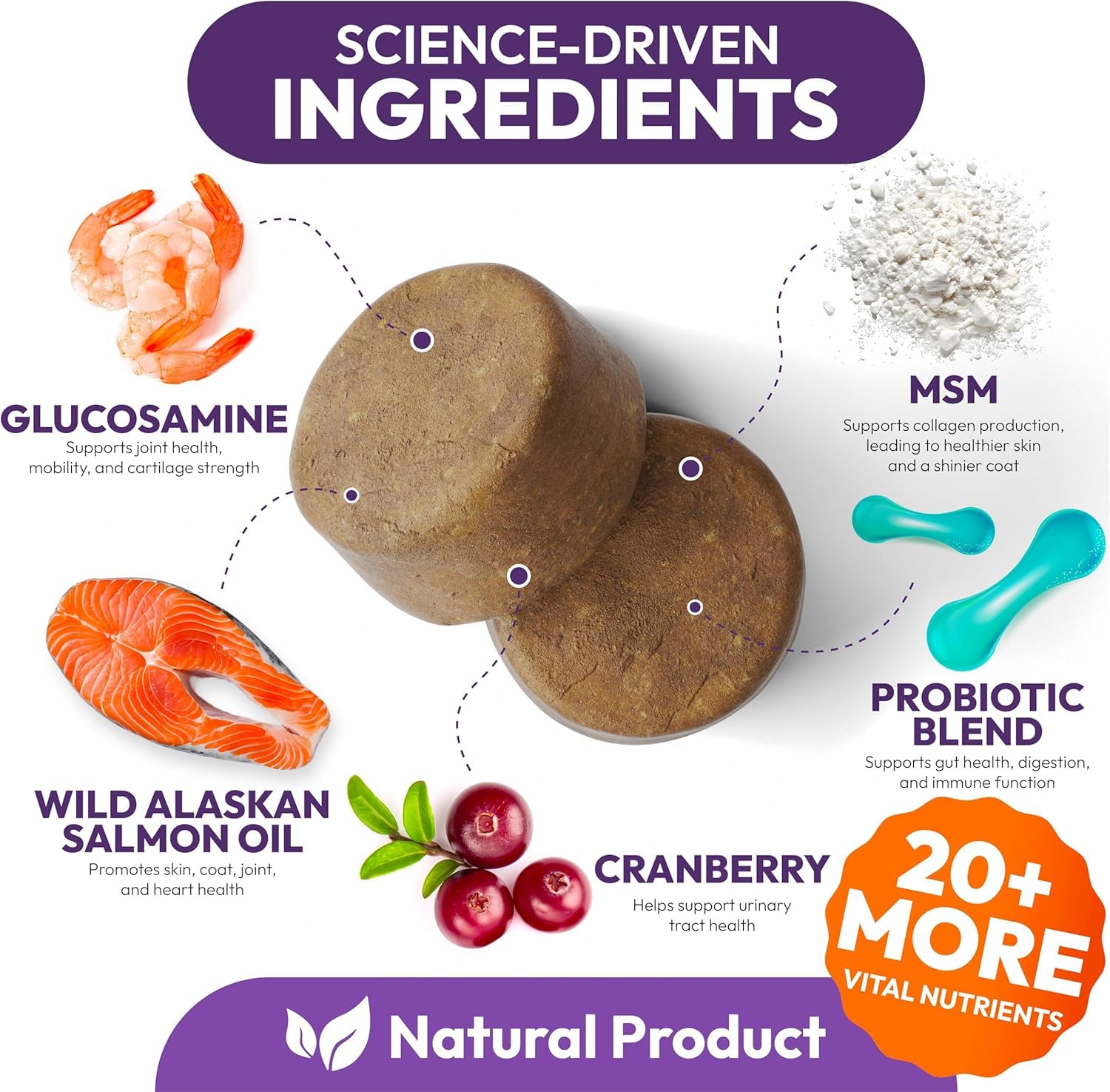 Petsology dog multivitamin packaging USA FDA facility emphasis on quality and safety.