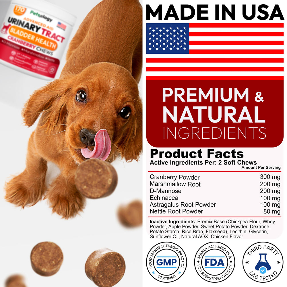 Petsology Dog UTI Chews USA-made badge signals trusted production standards.