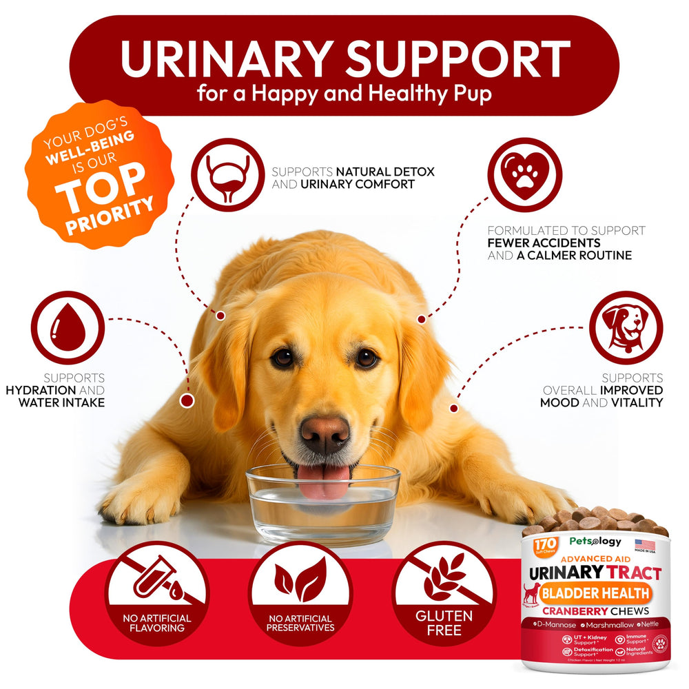 Petsology Dog UTI Chews cranberry image underlines natural urinary support.