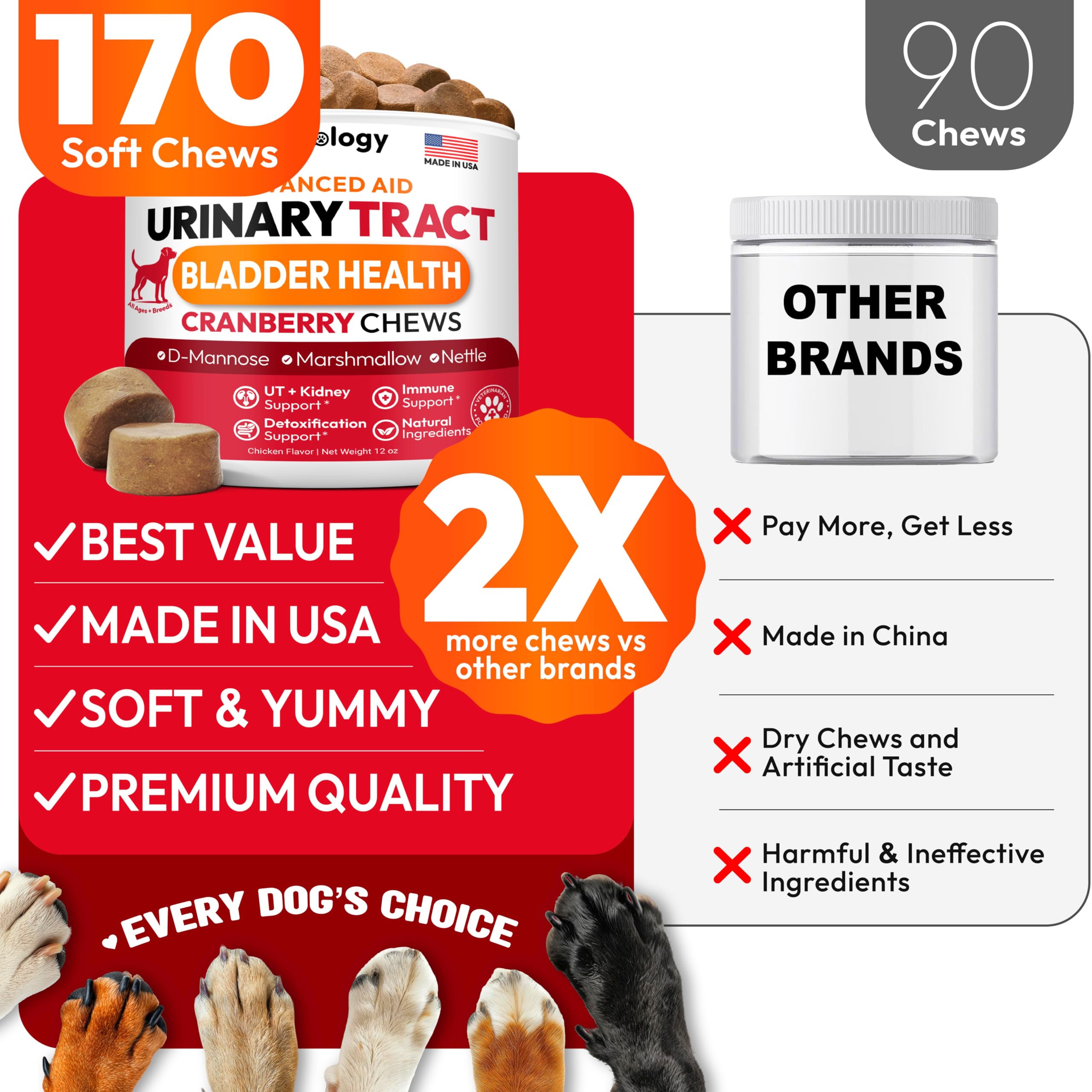 Petsology Dog UTI Chews D-Mannose focus highlights bladder health support.