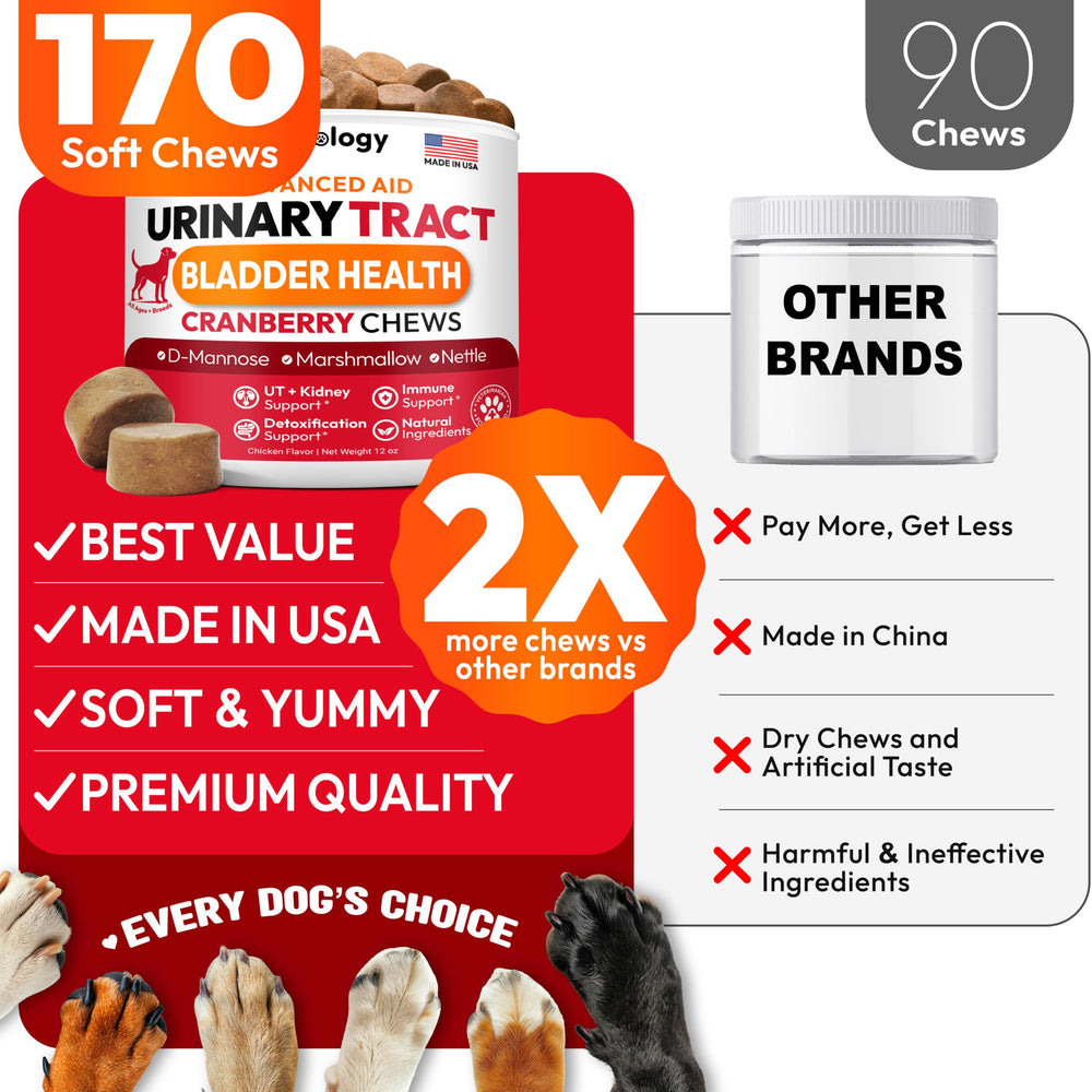 Petsology Dog UTI Chews D-Mannose focus highlights bladder health support.