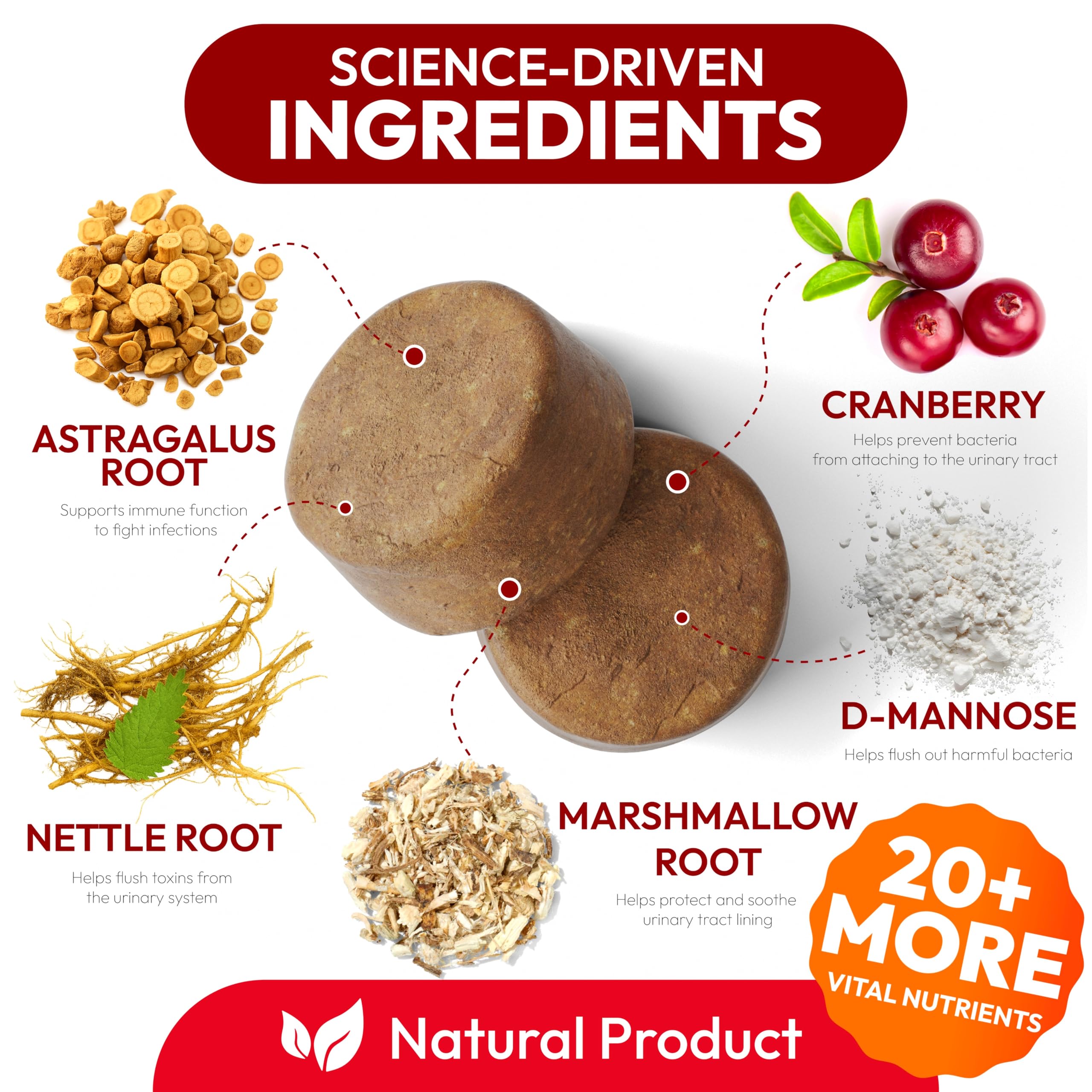 Petsology Dog UTI Chews ingredients bag showcases cranberry and D-Mannose benefits.