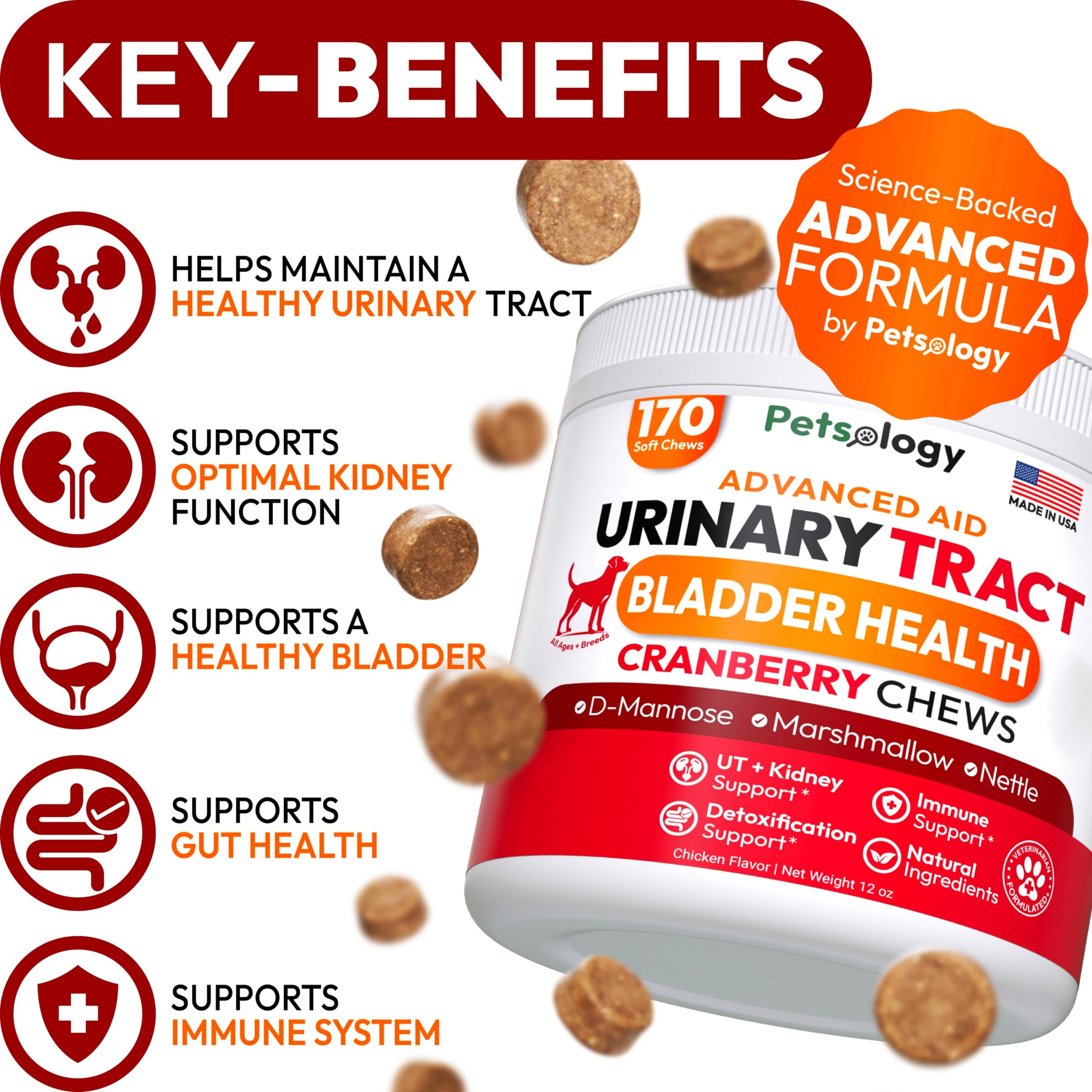 Petsology Dog UTI Chews treats on display emphasize daily urinary wellness for dogs.