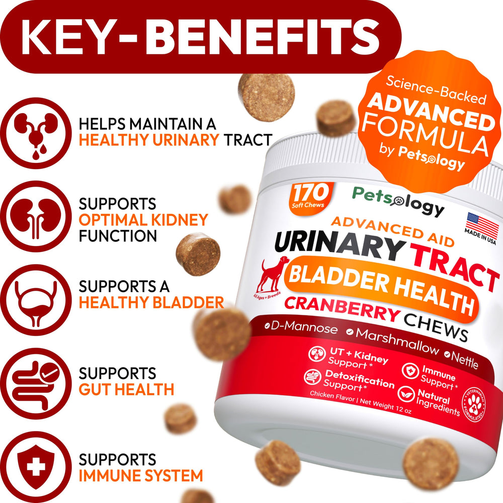 Petsology Dog UTI Chews treats on display emphasize daily urinary wellness for dogs.