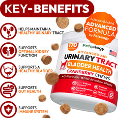 Petsology Dog UTI Chews treats on display emphasize daily urinary wellness for dogs.