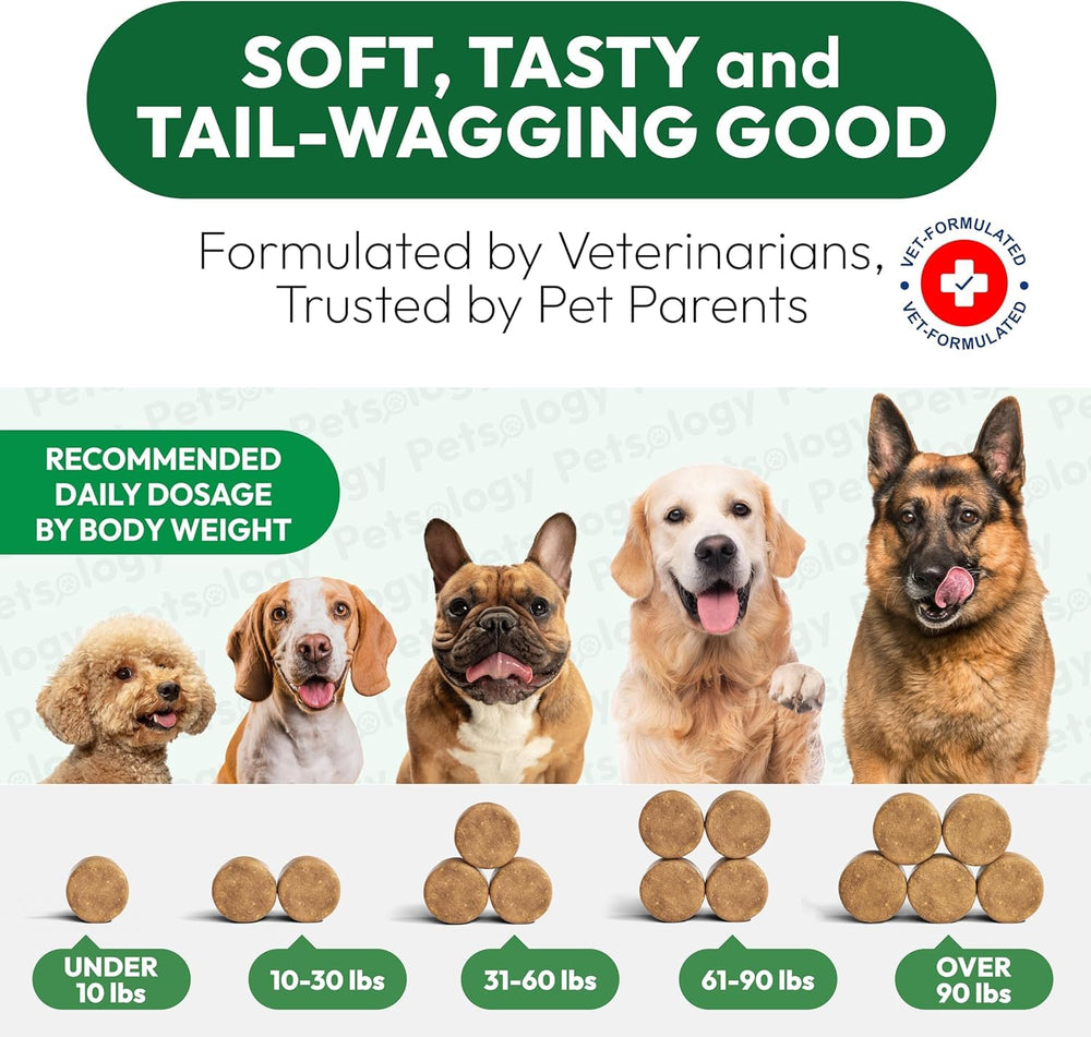 Petsology dog walking scene showing improved movement after use