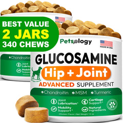 Petsology glucosamine for dogs 2pack closeup showing joint-supporting chews