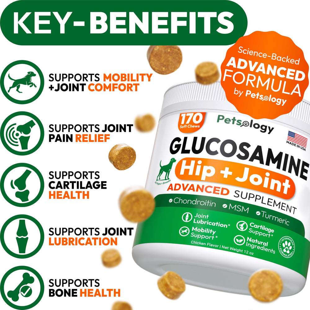 Petsology Glucosamine for Dogs chews close-up highlighting natural joint-support ingredients.