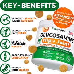 Petsology Glucosamine for Dogs chews close-up highlighting natural joint-support ingredients.
