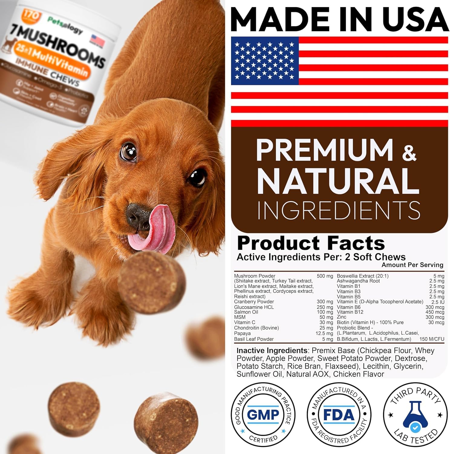 Petsology glucosamine dogs supplement chews support joints during walks