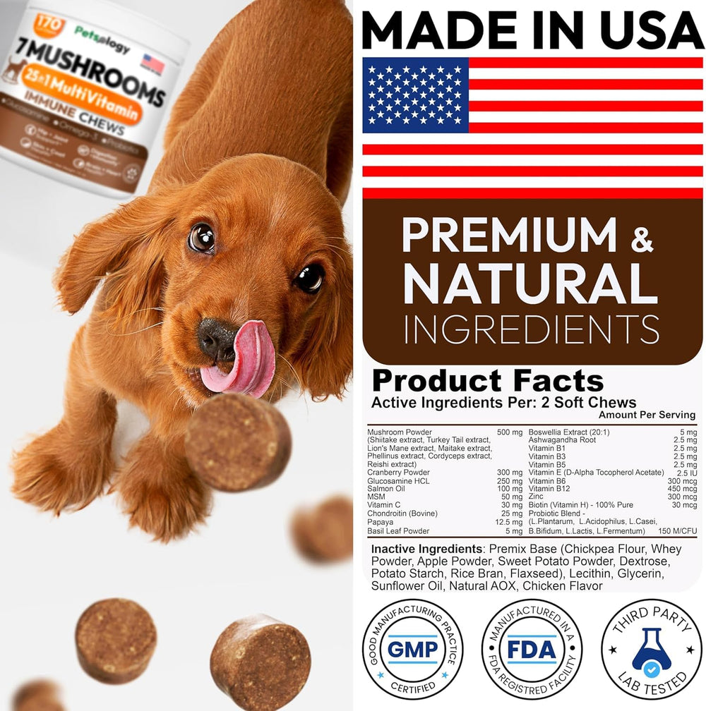 Petsology glucosamine dogs supplement chews support joints during walks