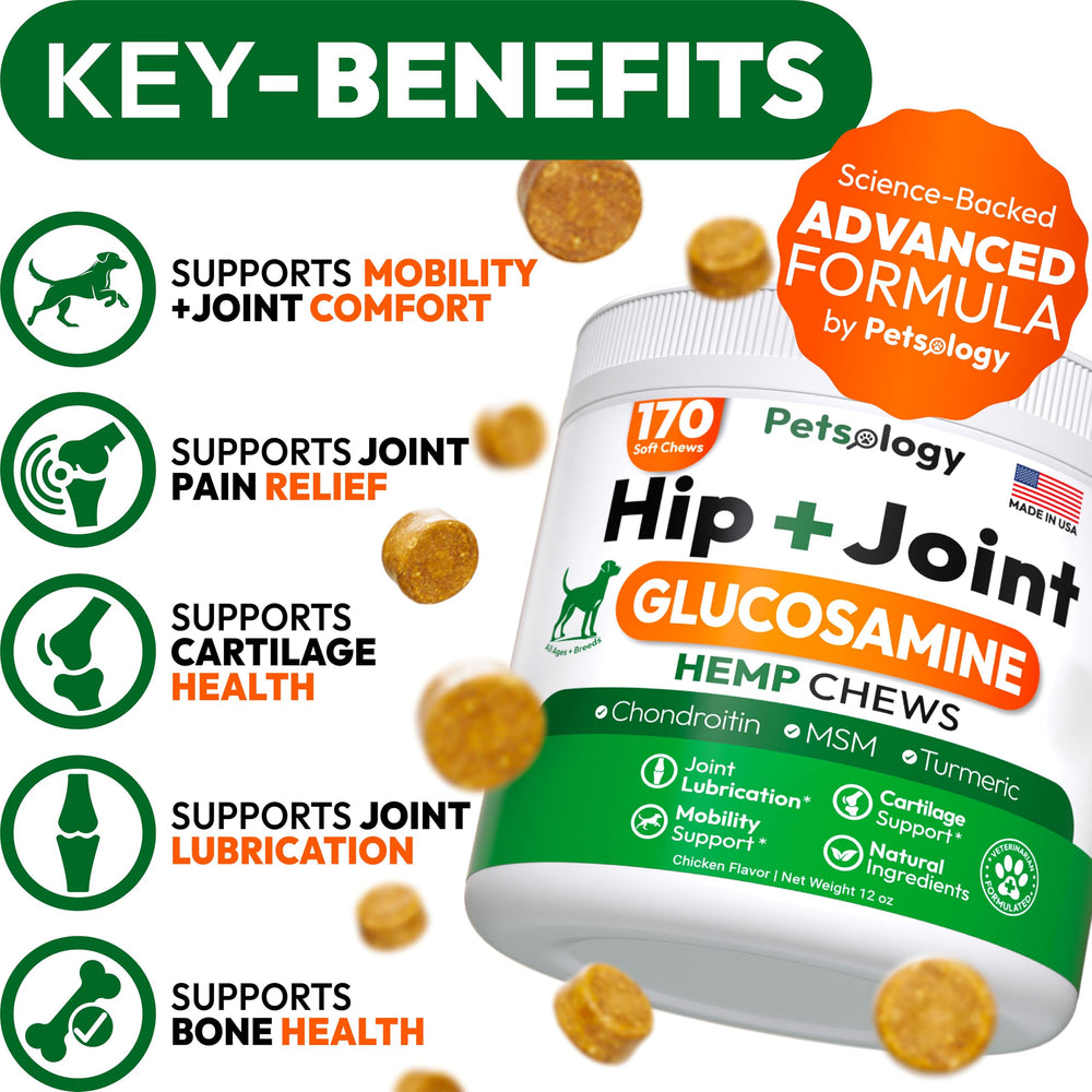 Petsology hip joint chews closeup highlights glucosamine and chondroitin for joint health